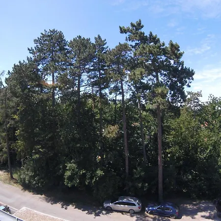 Апартаменты Ferienwohnung Pirna *